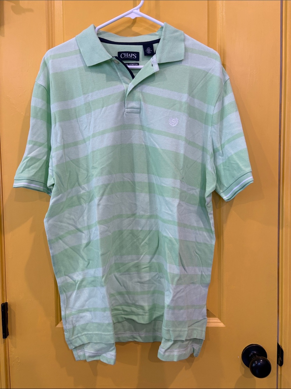 Chaps Men’s Light Mint & White Striped Polo